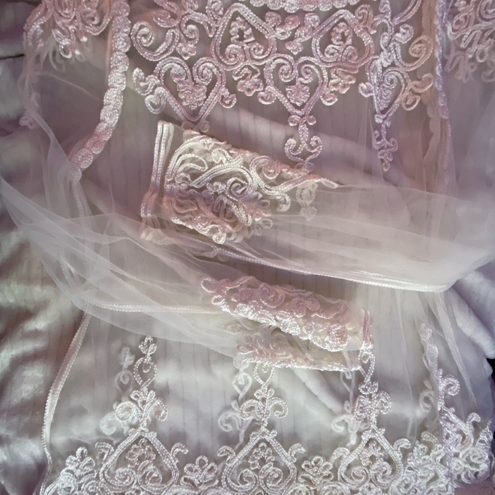 Elegant Lace Embroidered Dress